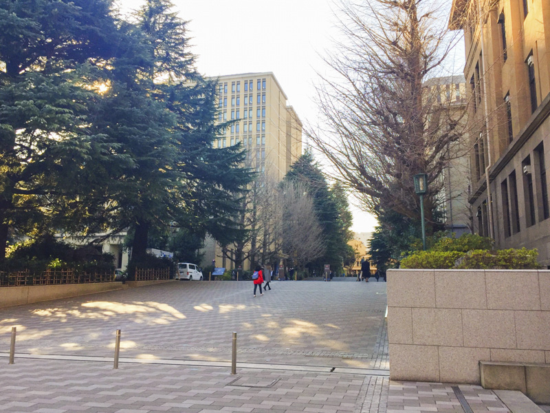 シニアが気になる 今春の大学公開講座 Vol 2 早稲田 明治 中央大学 おとなの住む旅