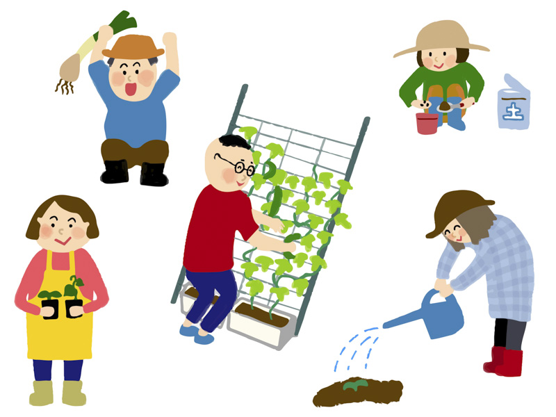 高齢者におすすめ 家庭菜園 動画3選 お家で野菜を育ててみませんか おとなの住む旅