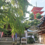 【高齢者に打ってつけ】日本初のお遍路さんオンライン参拝ツアー誕生！四国巡礼がリアルに体験できる！