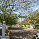 【シニアが「本当に住みやすい街」ランキング2022発表】ひばりヶ丘（西東京市）が1位！郊外でも便利な街に暮したい高齢者のリアルとは？