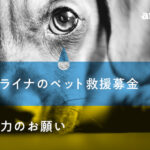 ウクライナの知られざる悲劇、置き去りになったワンコを救え！食料確保へ「千円からのペット救援募金」始まる！