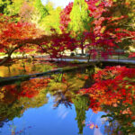 【シニアにおすすめな秋のおでかけ】「紅葉めぐりスタンプラリー」と「秋の東武鉄道フォトコンテスト」が開催